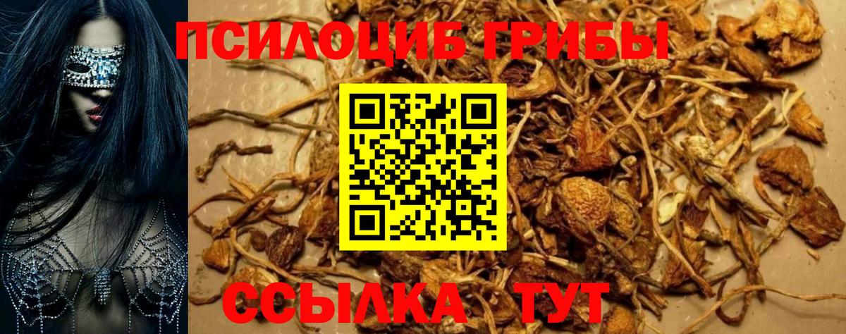 Галлюциногенные грибы Magic Shrooms Изобильный