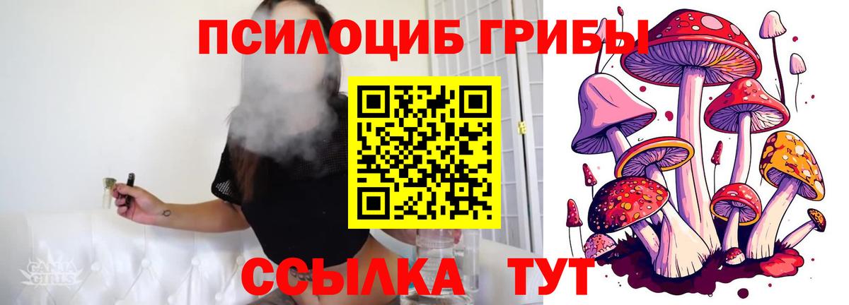 даркнет сайт  Вход с VPN  Галлюциногенные грибы Psilocybine cubensis  Изобильный  Галлюциногенные грибы мухоморы 